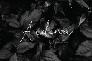Audina Font: A Stylish Script Handwritten Typeface for Digital Brands