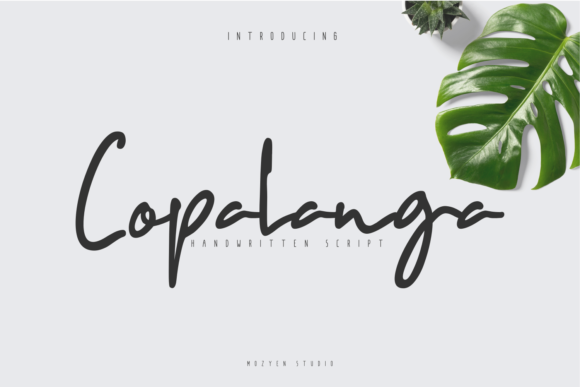 Copalanga: A Light and Charming Script Font for Authentic Branding