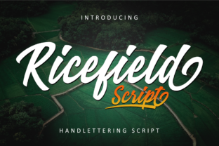 Ricefield: A Vintage Script Handwritten Font for Standout Web Design